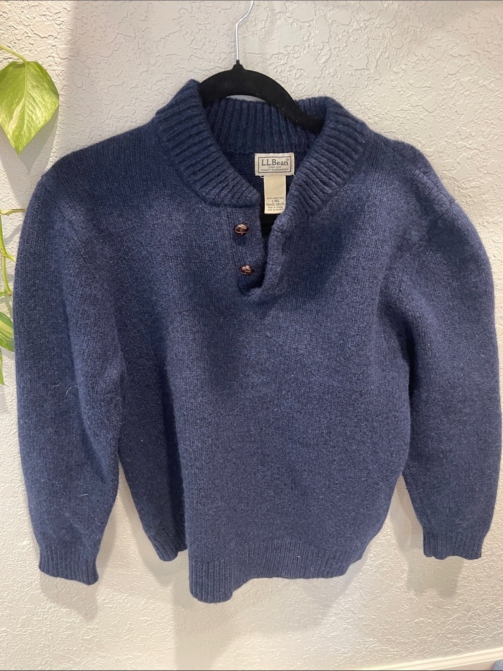 L.L. Bean Men's Navy V-Neck Wool Pullover